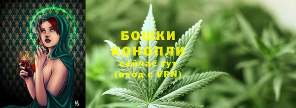 гидропоника Осинники
